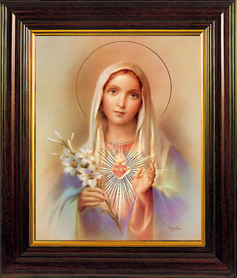 Virgin Mary Our Lady framed picture